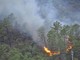Incendio boschivo ad Urbe, Vigili del Fuoco al lavoro