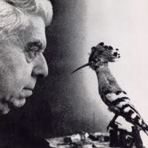 Albenga, domani a Palazzo Oddo Bianca Montale per l'incontro "L'umanita' di Montale" Albenga, domani a Palazzo Oddo Bianca Montale per l'incontro "L'umanita' di Montale"