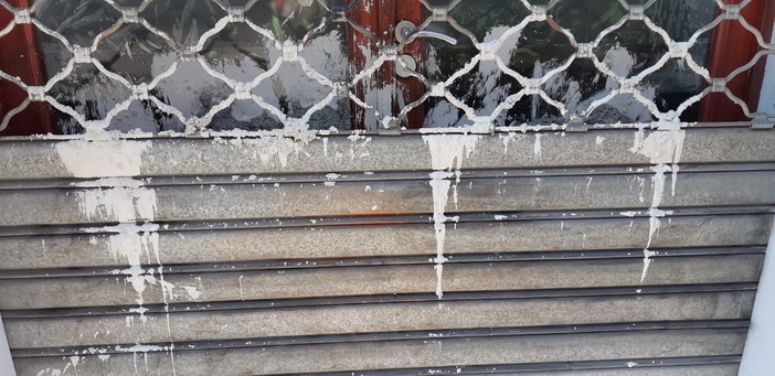 Savona, la denuncia del consigliere Saccone: "Durante il corteo antirazzista è stata imbrattata la saracinesca della sede di CasaPound"