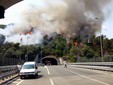 Foto tratte dal gruppo Facebook "Una passeggiata per Savona" (P. Acquati)