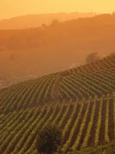 Il Turismo piemontese si è dato appuntamento ad Asti