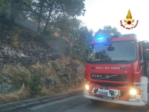 Incendio boschivo a Cenesi, sul posto vigili del fuoco e Protezione civile