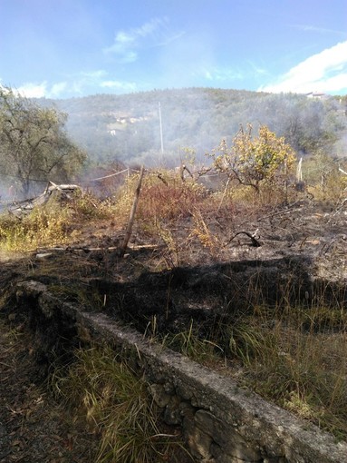 Domato l'incendio boschivo ad Erli, ma verrà presidiato tutta la notte Domato l'incendio boschivo ad Erli, ma verrà presidiato tutta la notte