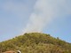 Ripartenze continue nell'incendio a Stellanello, continua il lavoro di Vigili del Fuoco e volontari Ripartenze continue nell'incendio a Stellanello, continua il lavoro di Vigili del Fuoco e volontari