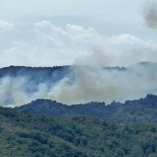 Incendio sulle alture di Cairo, Lambertini: "Grazie a chi ha protetto il territorio"