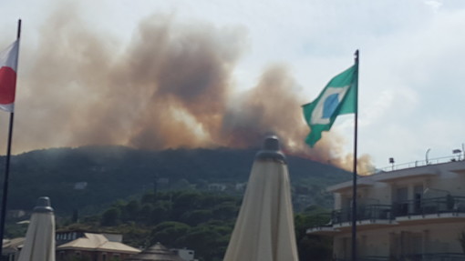 Le fiamme divampano nell'entroterra di Spotorno: intervento dei vigili del fuoco, pericolo per le abitazioni