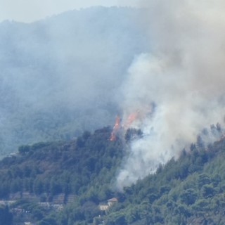 Incendi boschivi, Castellazzi (Verdi): &quot;La prevenzione deve essere potenziata con droni e videosorveglianza&quot;