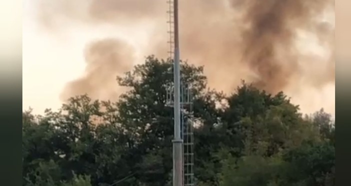 Ceriale, incendio boschivo nei pressi del campo sportivo: intervento dei vigili del fuoco (VIDEO) Ceriale, incendio boschivo nei pressi del campo sportivo: intervento dei vigili del fuoco (VIDEO)