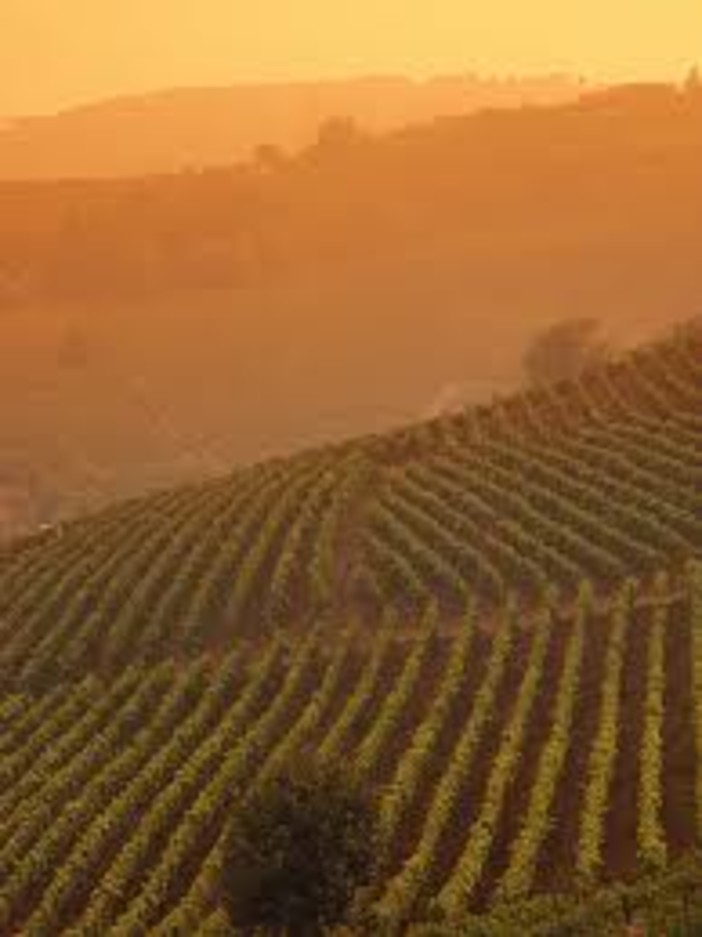 Il Turismo piemontese si è dato appuntamento ad Asti