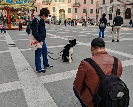 "Posso fare qualche foto ai vostri cani?": "Doggoweeke" , i suoi scatti e le storie degli amici a 4 zampe "Posso fare qualche foto ai vostri cani?": "Doggoweeke" , i suoi scatti e le storie degli amici a 4 zampe