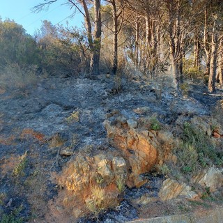 Alassio, spento l'incendio boschivo divampato nella zona di Moglio: bonifica in corso (FOTO)