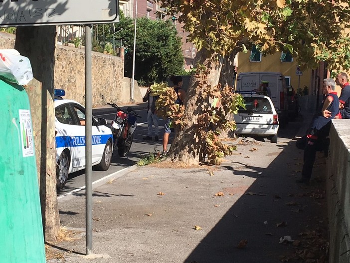 Incidente a Zinola: un ferito lieve