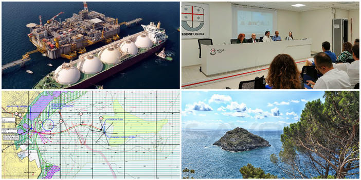 Rigassificatore, sull'impatto ambientale  i tecnici rassicurano: "Nessun habitat di interesse comunitario coinvolto"