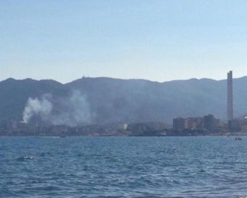 Vado Ligure, incendio sterpaglie a San Genesio