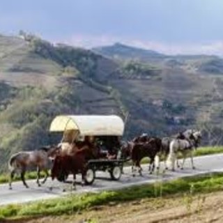 "Il Viaggio dei Cartunè" attraverso le vie del sale arriva in Liguria