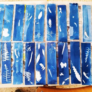 Vado Ligure, passeggiata botanica e laboratorio di cianotipia: un pomeriggio tra natura e creatività