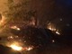 Incendio a Cadibona: in fiamme 200 metri di bosco