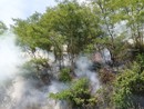 Stella, incendio nei boschi vicino alla Madonna del Salto: scatta l'intervento dei Vigili del fuoco Stella, incendio nei boschi vicino alla Madonna del Salto: scatta l'intervento dei Vigili del fuoco
