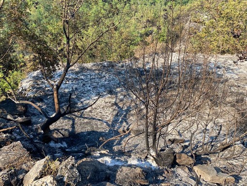 Arnasco, l'incendio boschivo danneggia le tubature dell'acquedotto: emergenza idrica nella frazione di Menosio Arnasco, l'incendio boschivo danneggia le tubature dell'acquedotto: emergenza idrica nella frazione di Menosio