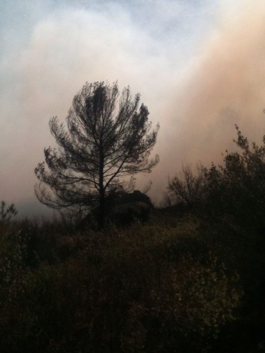Andora devastata dalle fiamme, Capo Mimosa aperto a "singhiozzo"