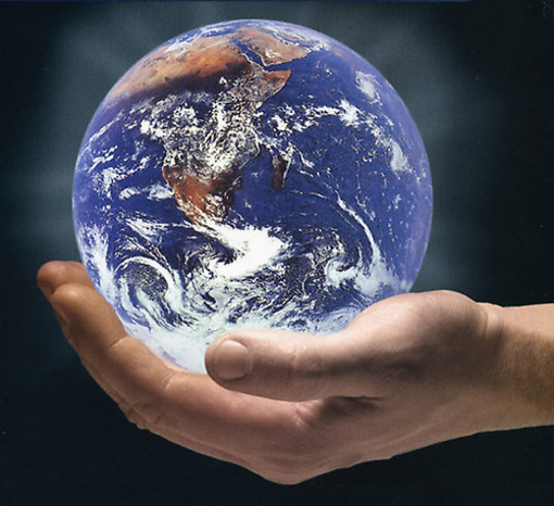 Il web per le imprese, aiuti dalla Camera di Commercio di Savona