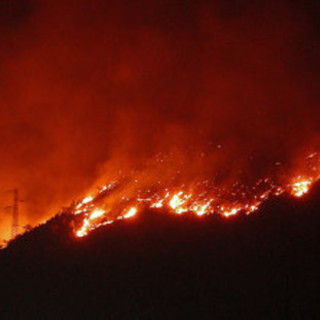 Incendio boschivo nella notte a Varazze, domato dopo due ore di intervento dei Vigili del Fuoco