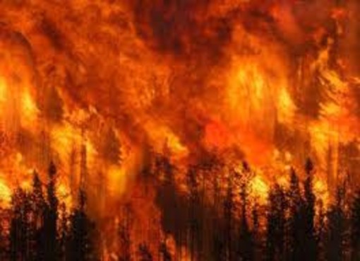 Allarme incendi in Liguria: stato di grave pericolosita'
