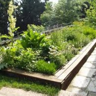 Cairo Montenotte, prime adesioni all’iniziativa “Adotta un’aiuola”