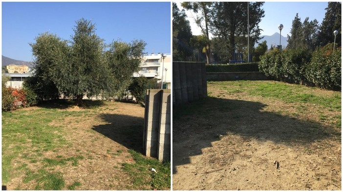 Area cani in via Matteotti, Nuova Grande Loano: "Totalmente sbagliata, inutile e per di più gravemente trascurata"