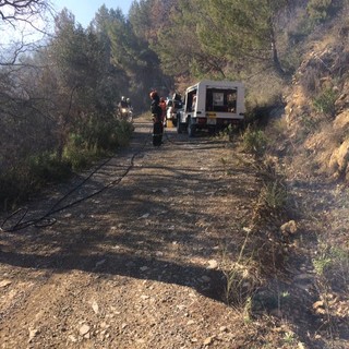 Incendio di Rollo: il bilancio è di 50 ettari di bosco distrutti