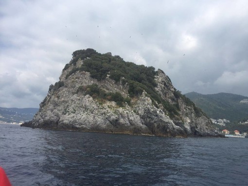 Bergeggi: tanti eventi per l'estate dalle escursioni allo snorkeling Bergeggi: tanti eventi per l'estate dalle escursioni allo snorkeling