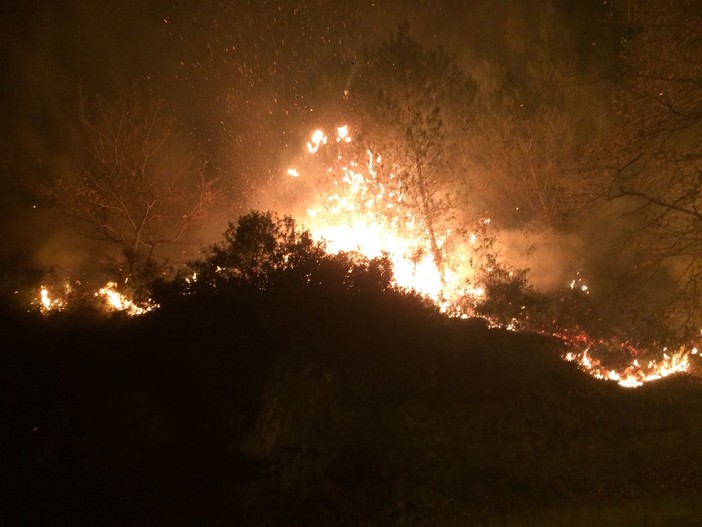 Continua a bruciare il savonese: questa notte nuovo incendio sulle alture di Testico