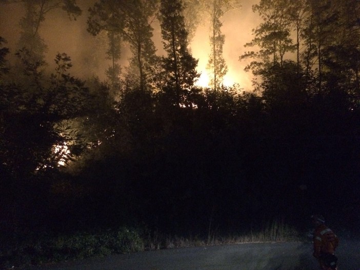 Incendio boschivo tra Giusvalla e Pontinvrea: situazione sotto controllo Incendio boschivo tra Giusvalla e Pontinvrea: situazione sotto controllo