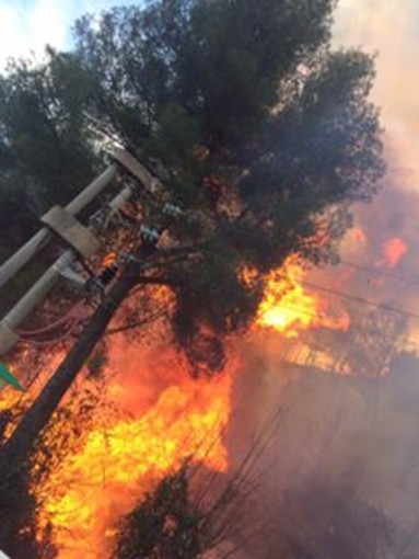 Andora, il sindaco Demichelis: "Abbiamo vissuto momenti difficili, continuiamo a presidiare il territorio"