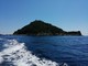 Isola Gallinara, un primo passo verso la fruibilità: censito il patrimonio faunistico e floricolo