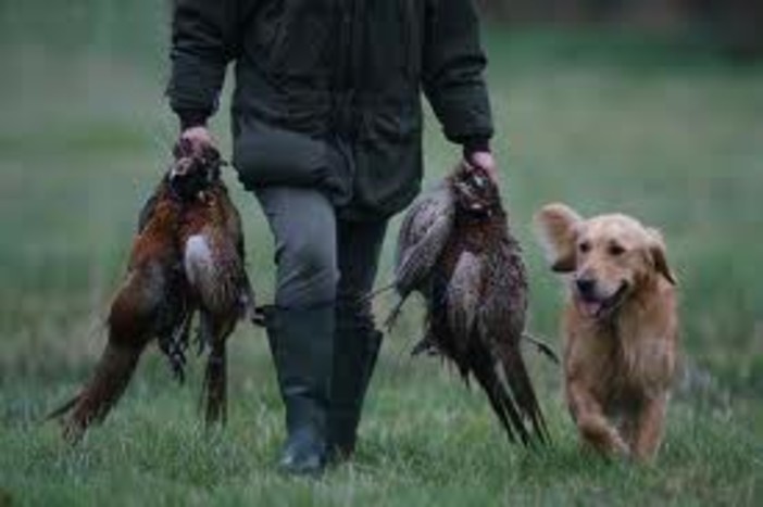 Briano (PD) contro gli "ambientalisti" del suo partito Briano (PD) contro gli "ambientalisti" del suo partito