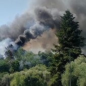 Incendi, l’allarme di AVS ed Europa Verde: "Nel Ponente terreni ancora aridi, ripristinare i divieti"