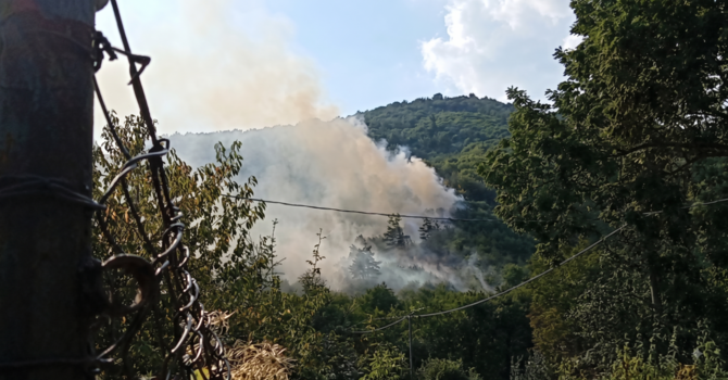 Mallare, incendio in località Montefreddo: scatta l'intervento dei vigili del fuoco e della protezione civile Mallare, incendio in località Montefreddo: scatta l'intervento dei vigili del fuoco e della protezione civile