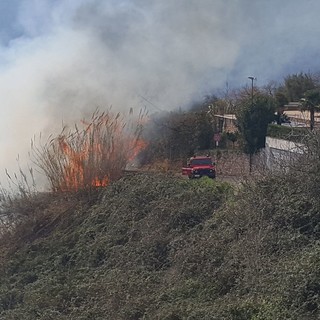 Finale Ligure: "green economy" ma anche "problemi verdi" a San Bernardino