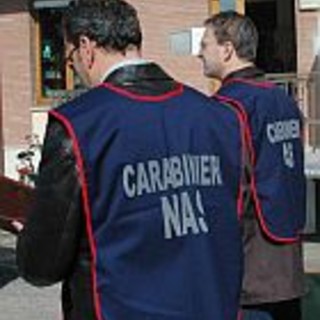 Cairo: blitz dei Nas al giro Bio Bio