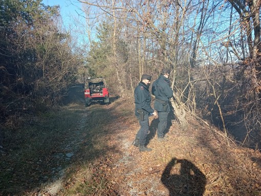 Plodio, incendio boschivo in località Acquafontana: mobilitati vigili del fuoco, forestali e Protezione civile (FOTO) Plodio, incendio boschivo in località Acquafontana: mobilitati vigili del fuoco, forestali e Protezione civile (FOTO)