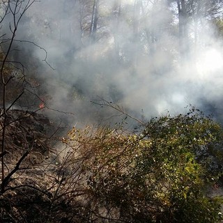 Incendio boschivo a Stellanello: intervento dell'Aib dell'Unione dei Comuni di Val Merula e Montarosio per spegnere i nuovi focolai