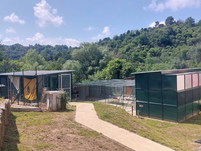 Troppi ricoverati e poco personale: il Cras di Cadibona interrompe il recupero e l'ingresso degli animali selvatici