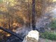 Andora, incendio sulle alture di Rollo