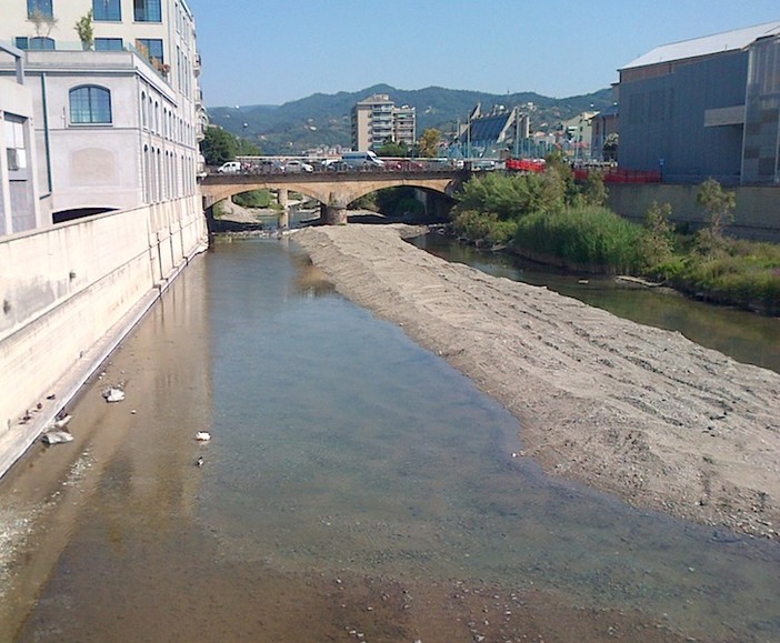 Savona, intervento di recupero della fauna ittica in difficoltà alla foce del fiume Letimbro