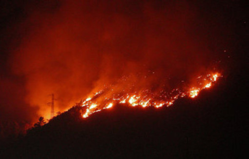 Incendio boschivo nella notte a Varazze, domato dopo due ore di intervento dei Vigili del Fuoco Incendio boschivo nella notte a Varazze, domato dopo due ore di intervento dei Vigili del Fuoco