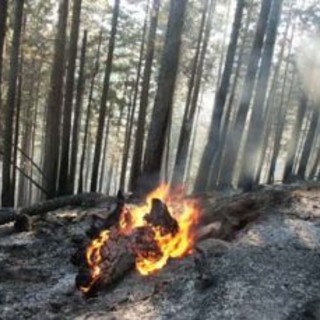 Tovo: indagini a tutto campo per gli incendi di bosco