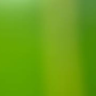 Alassio, approvato il primo piano triennale di "acquisti verdi"