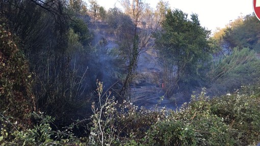 Divampa incendio a Vado Ligure in località Bossarino