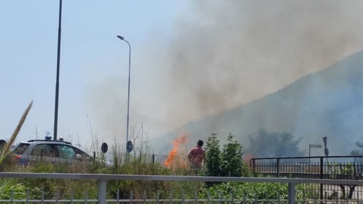 Borghetto Santo Spirito, incendio nei pressi del casello autostradale: intervento dei vigili del fuoco